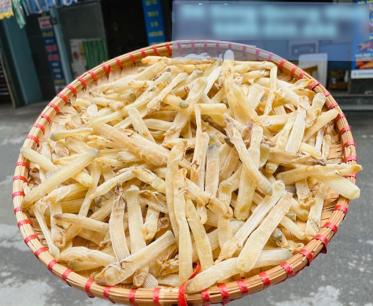 Sá sùng - Đặc sản biển quý hiếm nổi tiếng của Quảng Ninh