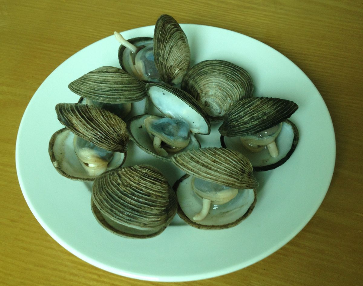 Con ngán biển Hạ Long - Món ăn đậm chất đất mỏ