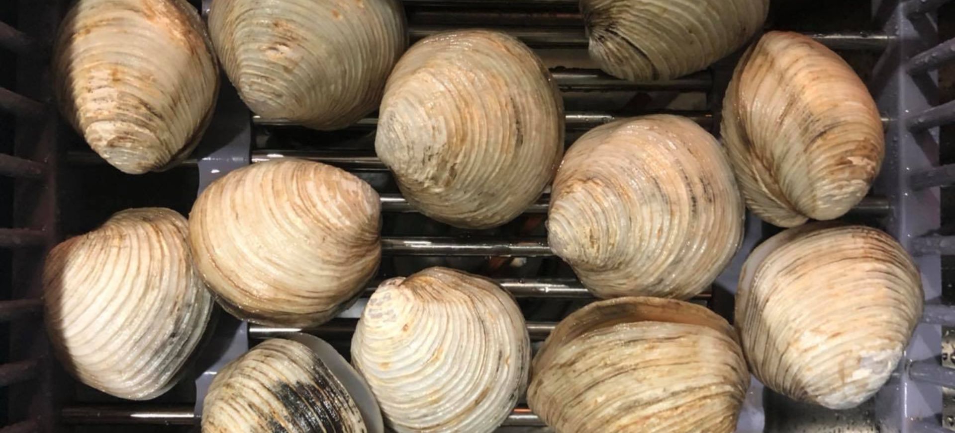 Ngán biển - Đặc sản trứ danh vùng đất biển Quảng Ninh