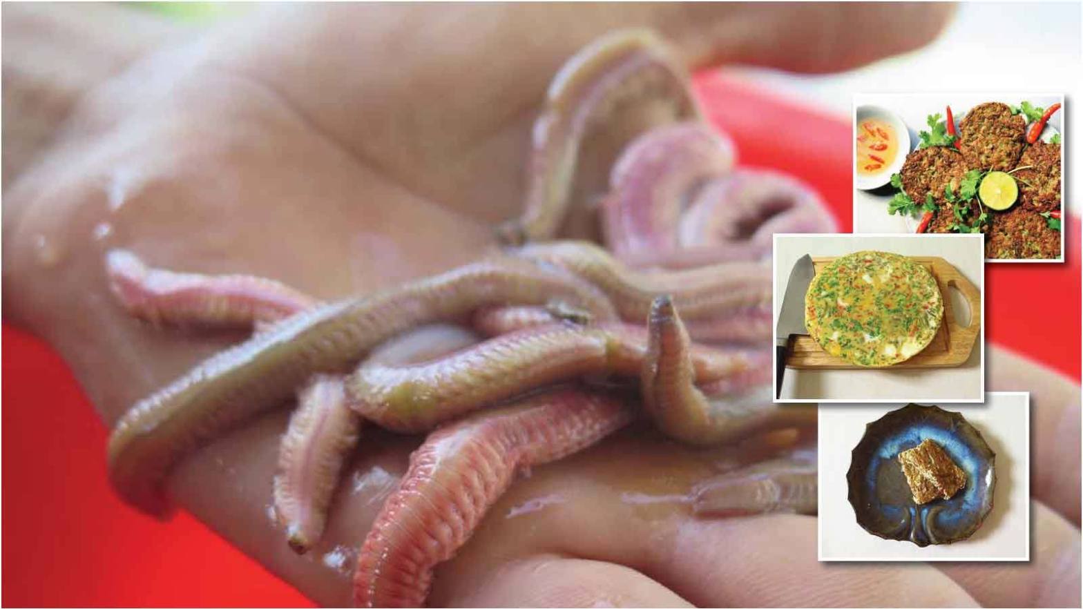 Đông lạnh sao thèm miếng… chả rươi – Mega Story