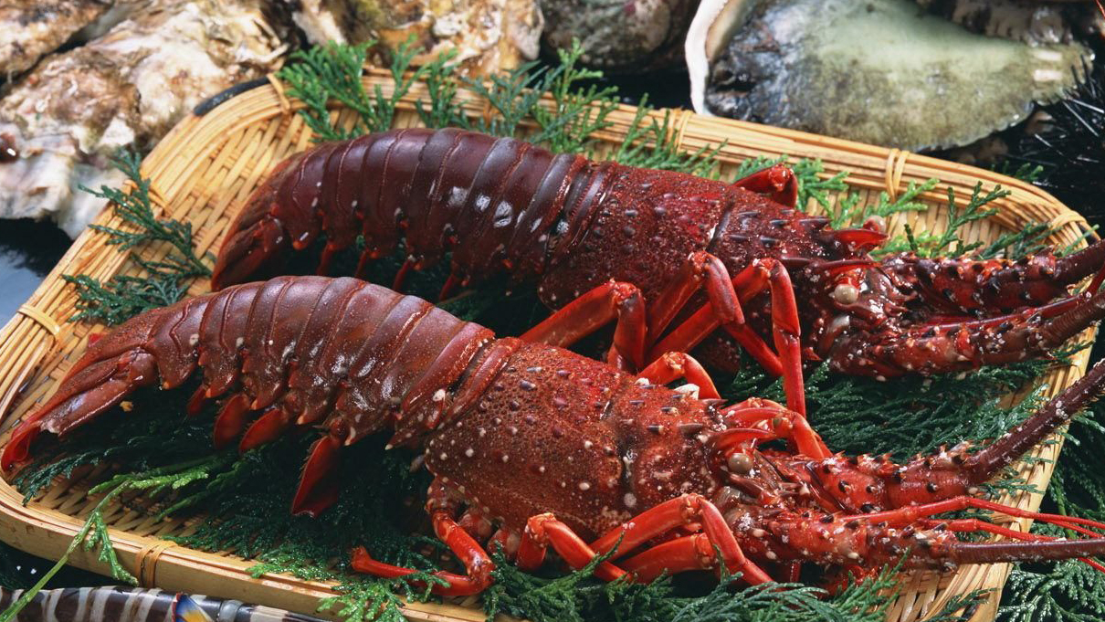 Các món ngon từ tôm hùm ăn là nghiền - LAHATA - Restaurant