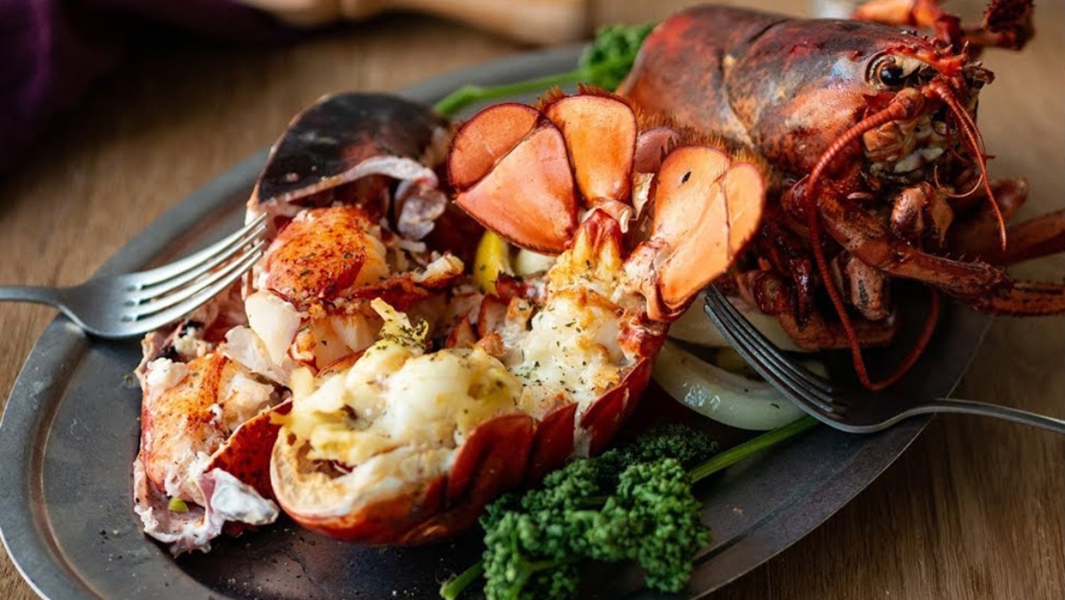 Tôm hùm làm gì ngon? Tổng hợp 15 món ngon chế biến từ tôm hùm hấp dẫn