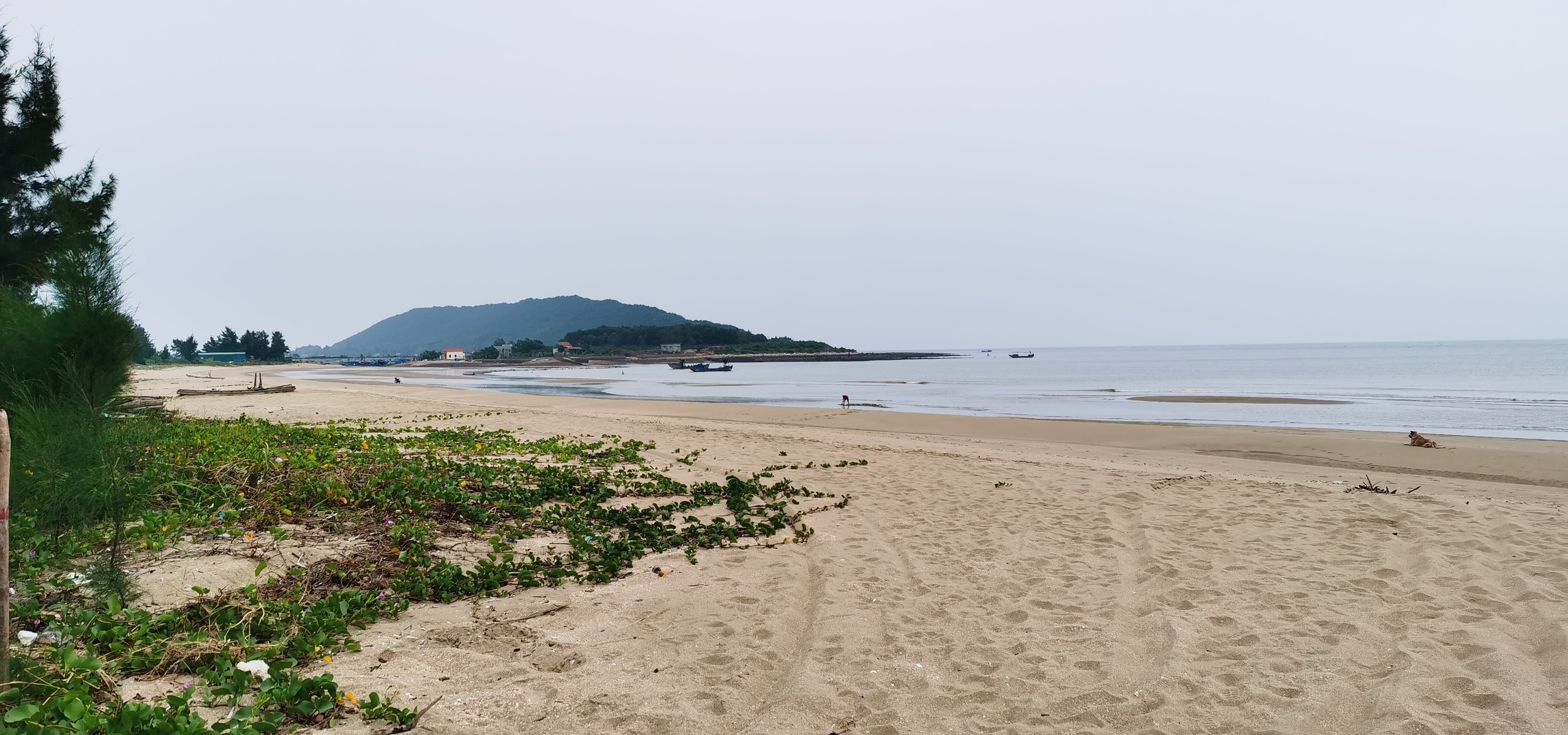 Khám phá đảo 'nàng thơ' của vùng biển Đông Bắc, check-in hải đăng Vĩnh Thực