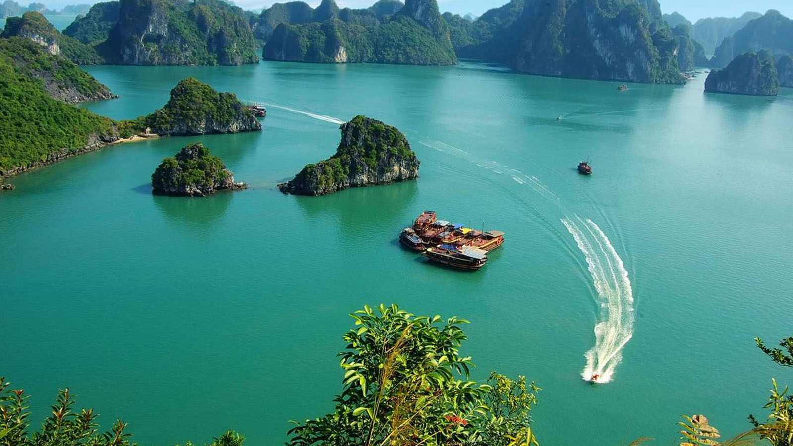 Vịnh Bái Tử Long, Hạ Long