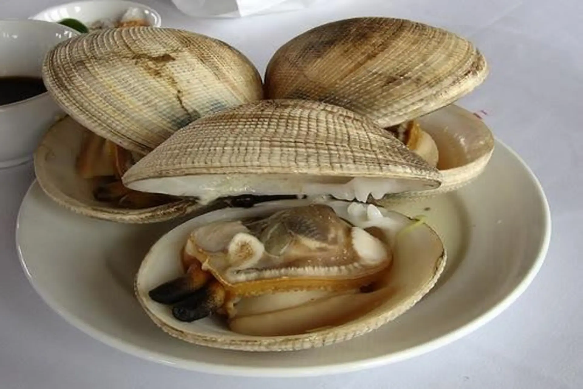 Ngán là con gì? Top những món ăn làm từ ngán đơn giản, cực ngon mà bạn nên thử