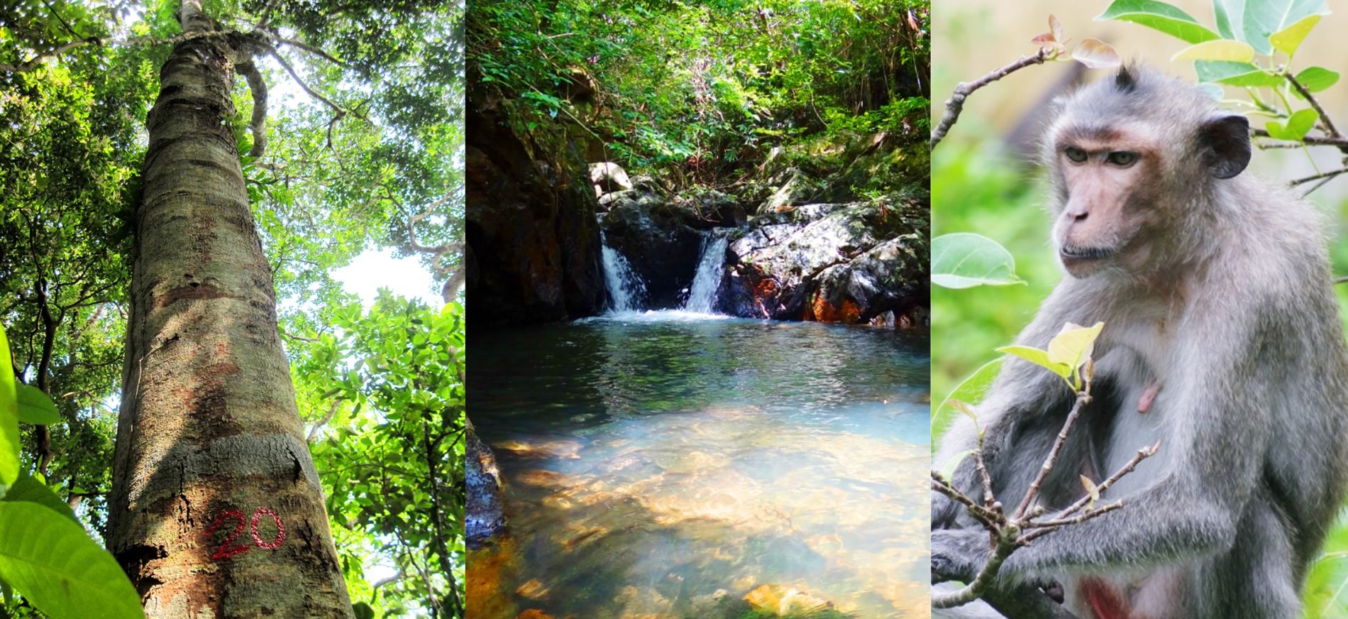 Đảo Ba Mùn: Điểm đến lý tưởng cho người yêu thiên nhiên