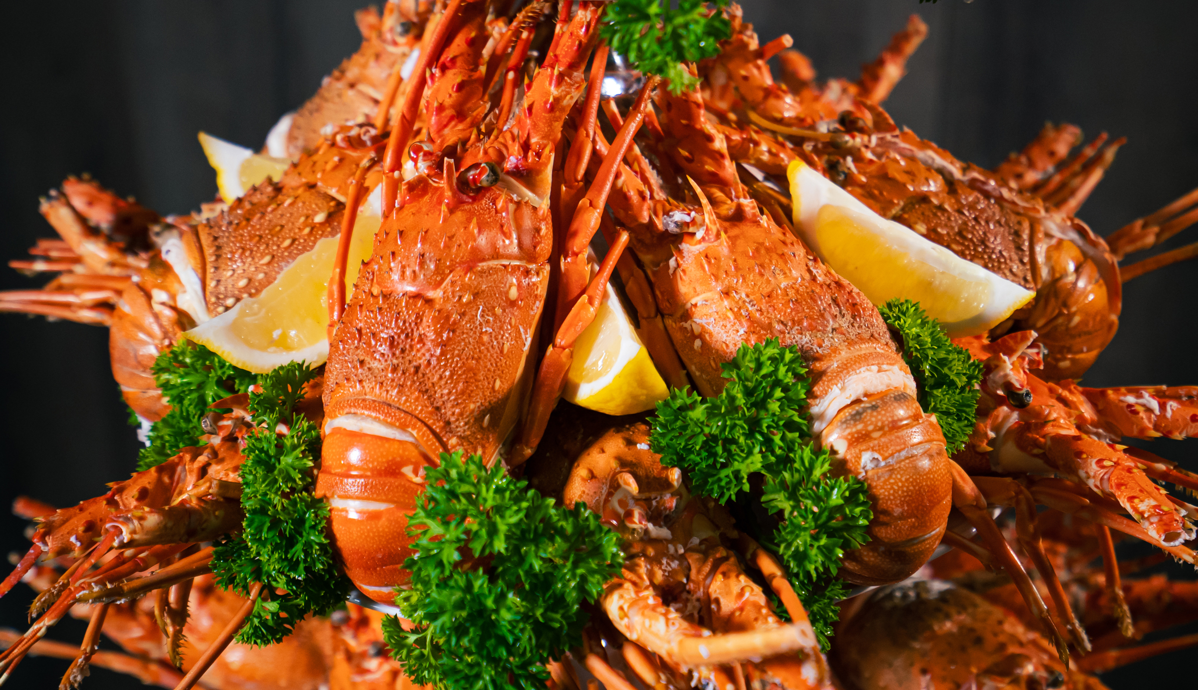 Thưởng thức tôm hùm trên du thuyền ở vịnh Hạ Long - Báo VnExpress Du lịch