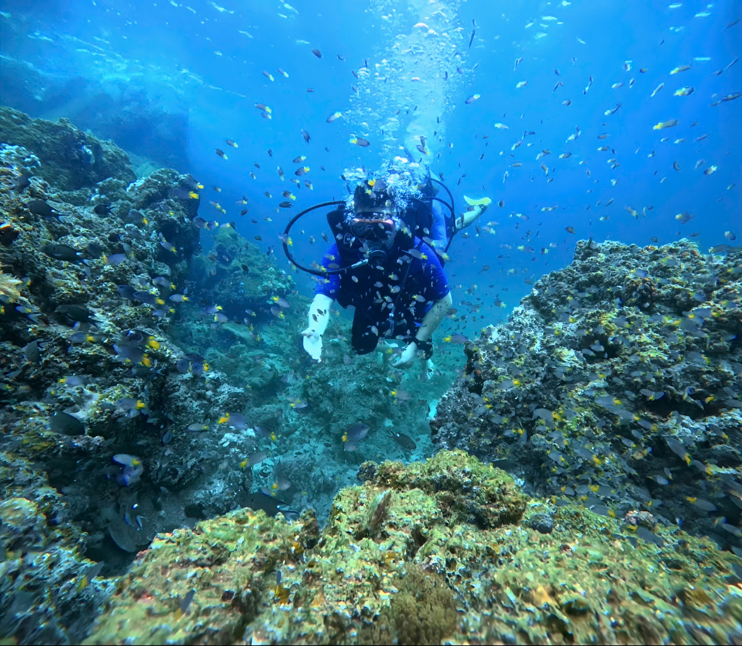 Lặn biển ở Cô Tô, Quảng Ninh, trải nghiệm hút du khách