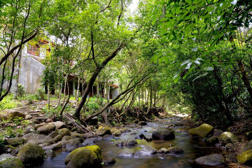 Phong cảnh thiên nhiên gần khách sạn