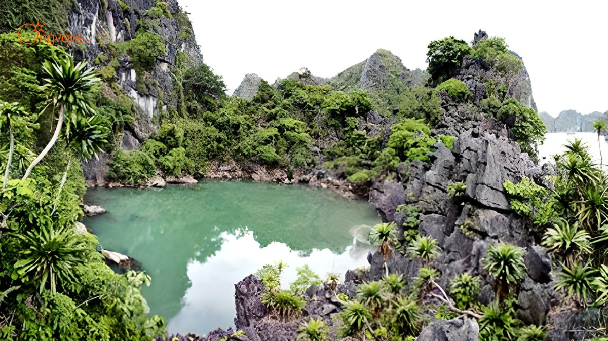 Đảo Ba Mùn Quảng Ninh tự túc – Thiên đường hoang sơ giữa vịnh Bái Tử Long  cho dân phượt