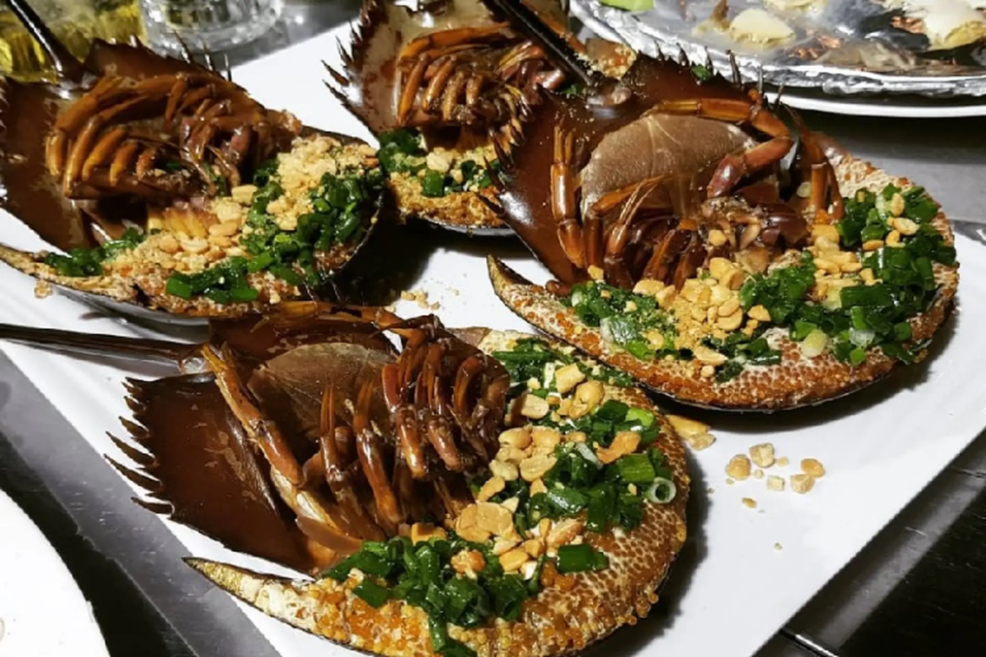 Gợi ý các món ăn ngon từ sam biển để chiêu đãi gia đình