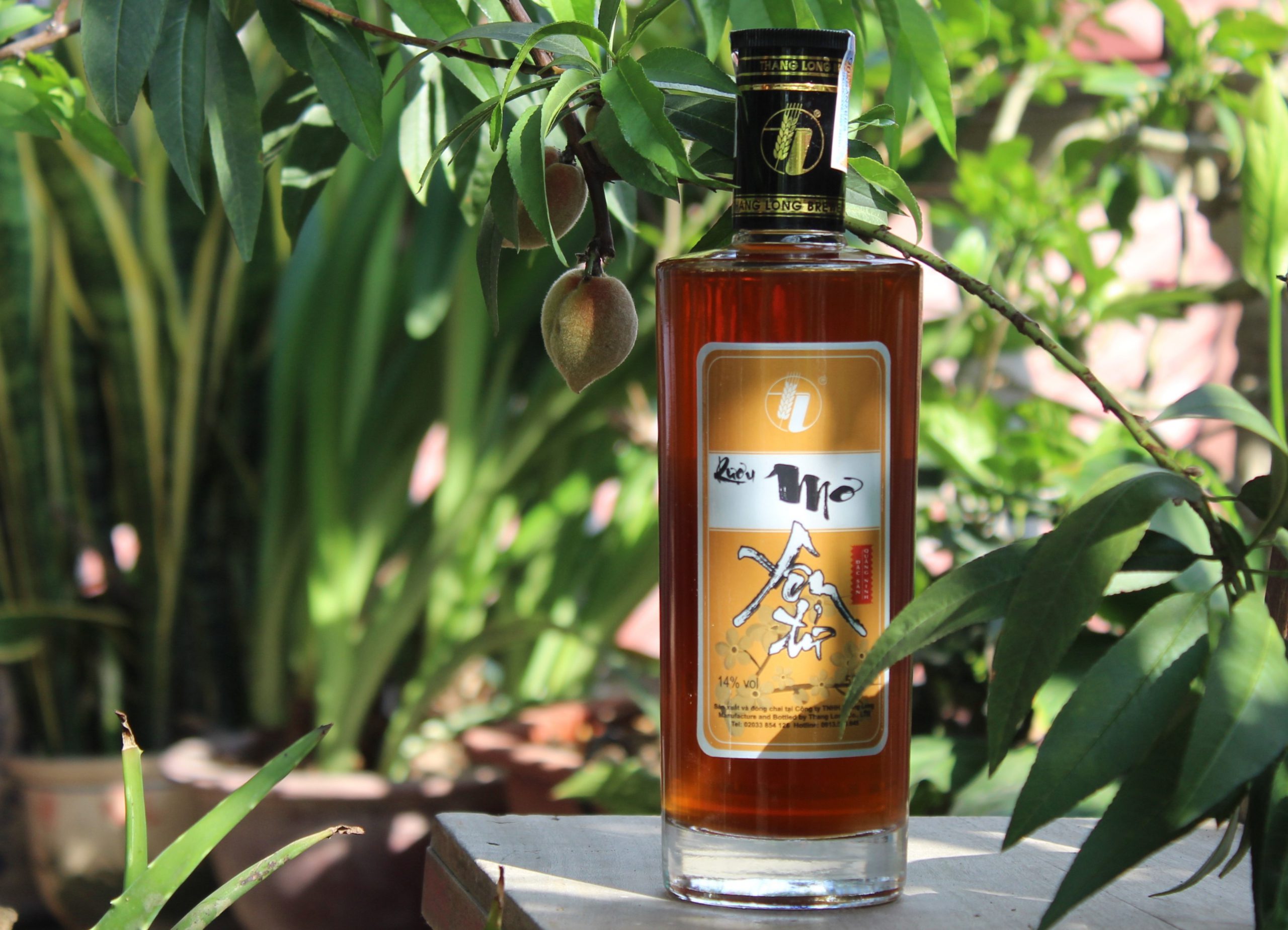 Pha Chế Cocktail Rượu Mơ Chuẩn Như Bartender - Rượu Mơ Yên Tử