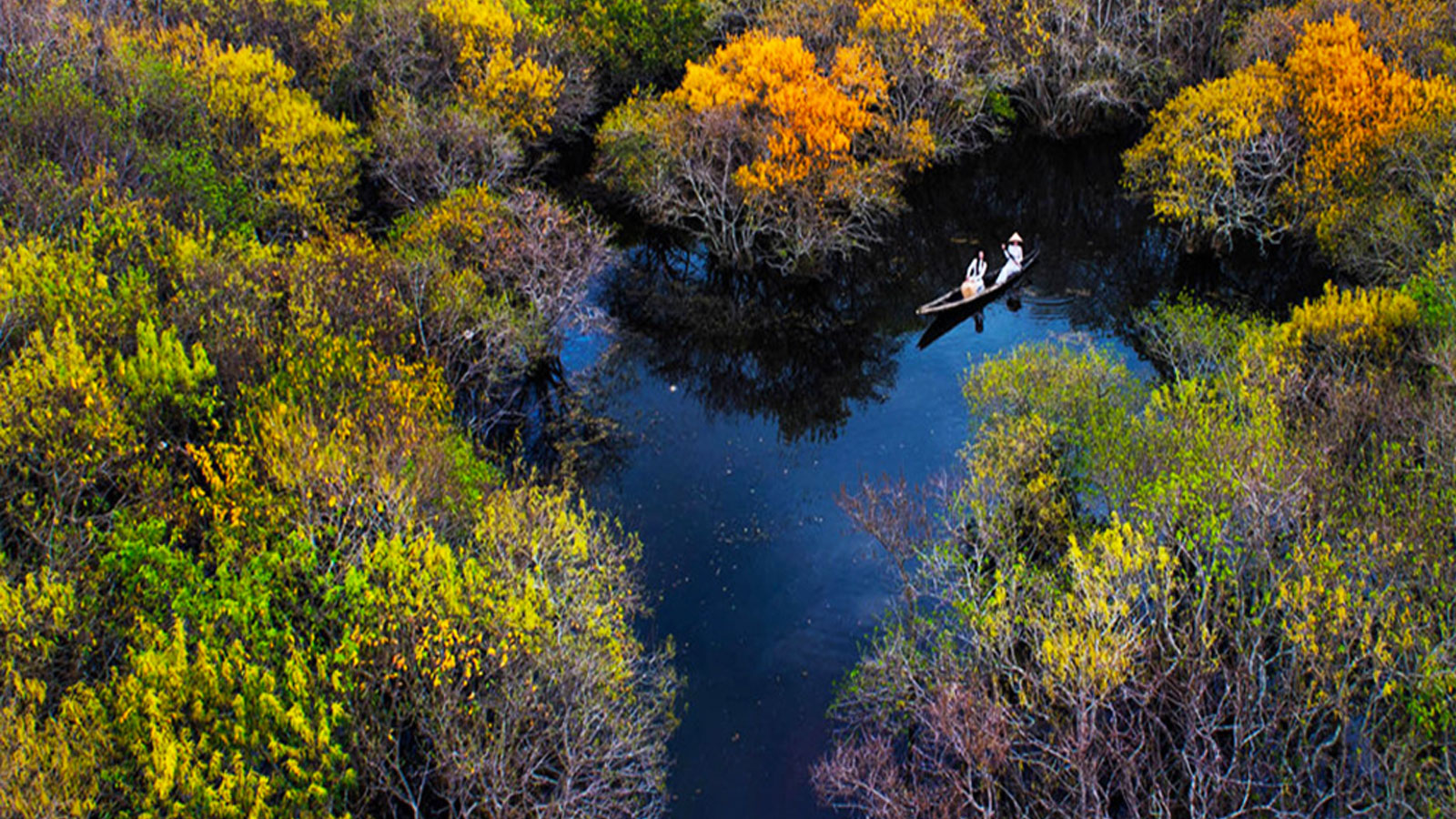 Rừng Ngập Mặn Rú Chá, Huế