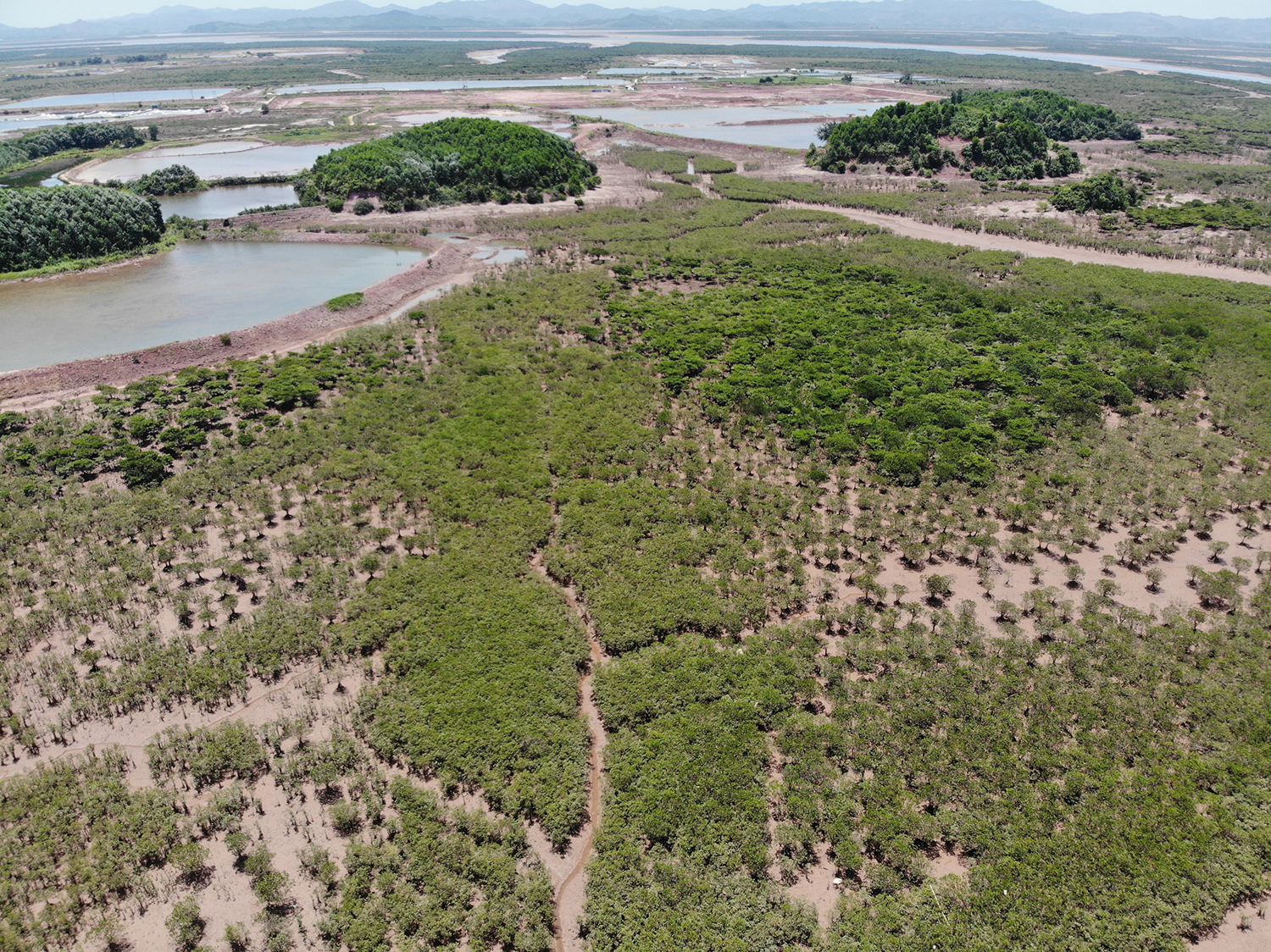 Trốn nóng tại khu rừng ngập mặn gần Hạ Long - Báo VnExpress Du lịch