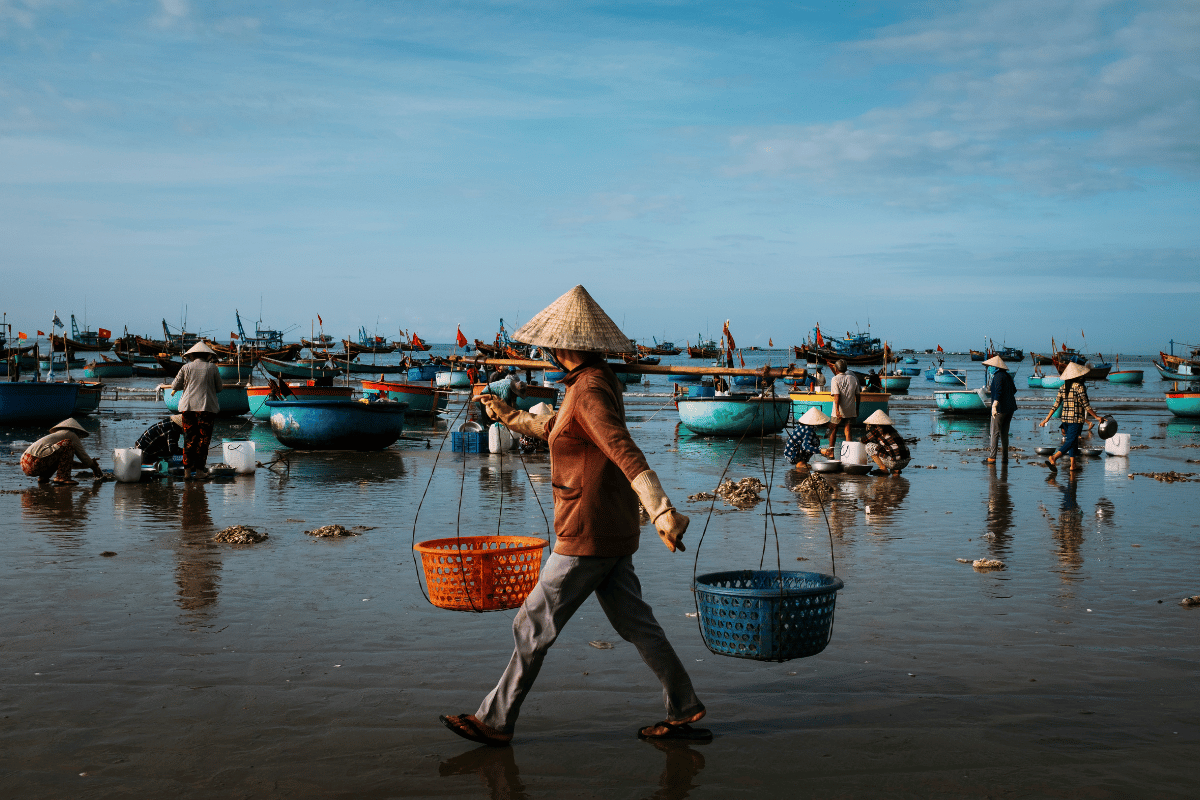 Làng chài Đà Nẵng: Bức tranh sống động của văn hóa biển miền Trung