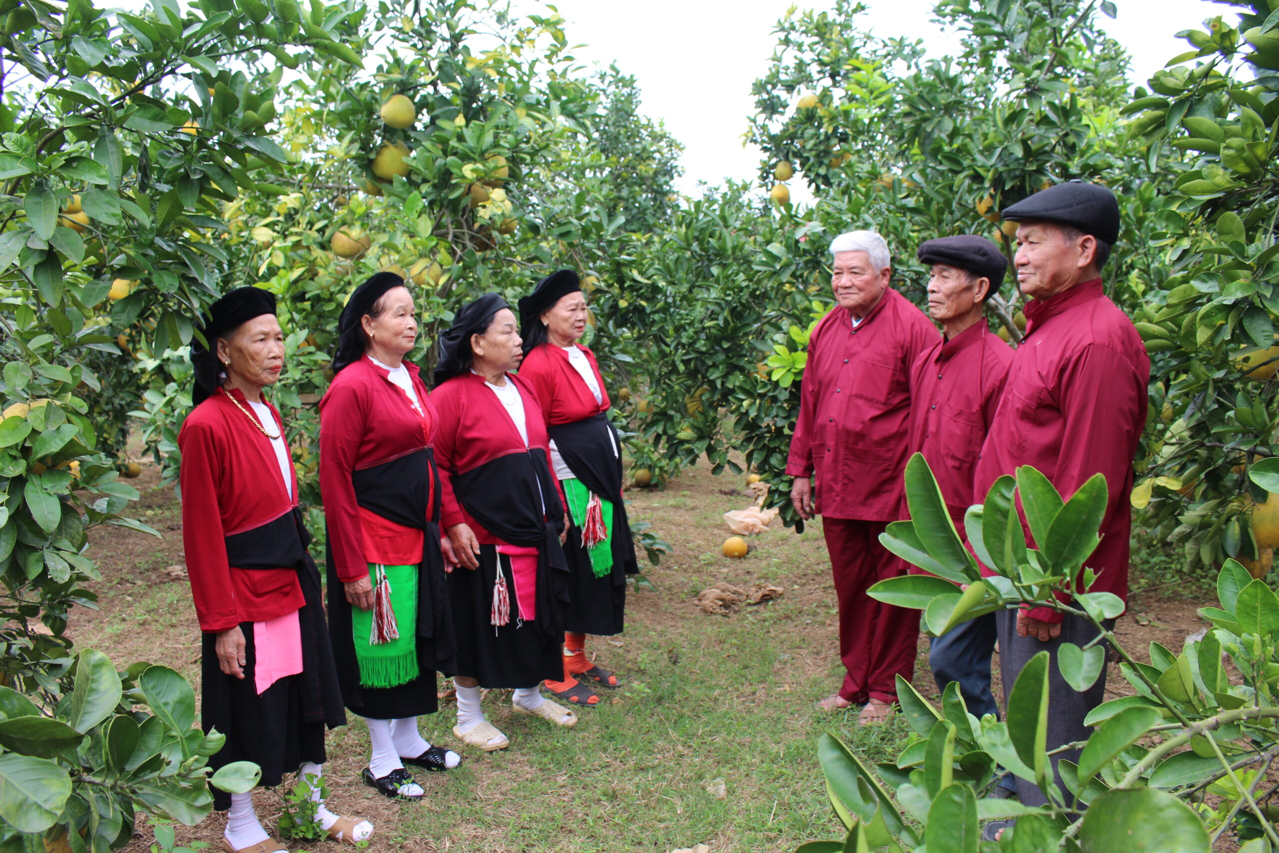 Dân tộc Sán Dìu - Chi tiết tin tức - Cổng thông tin điện tử tỉnh Bắc Giang