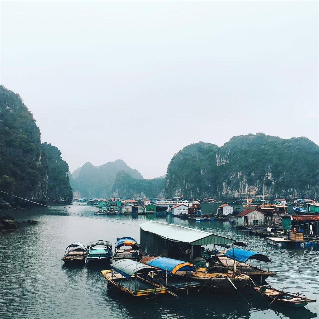 Làng chài cổ Cái Bèo | Du lịch Cát Bà | Dulich24.com.vn